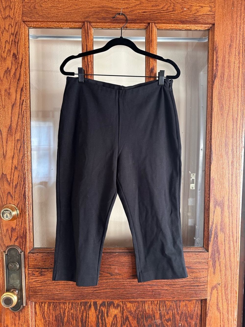 Everlane capris stretch